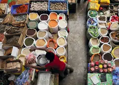 Helped by a US$2.9 billion bailout by the IMF, Sri Lanka is on the path to recovery from its worst financial crisis in seven decades.