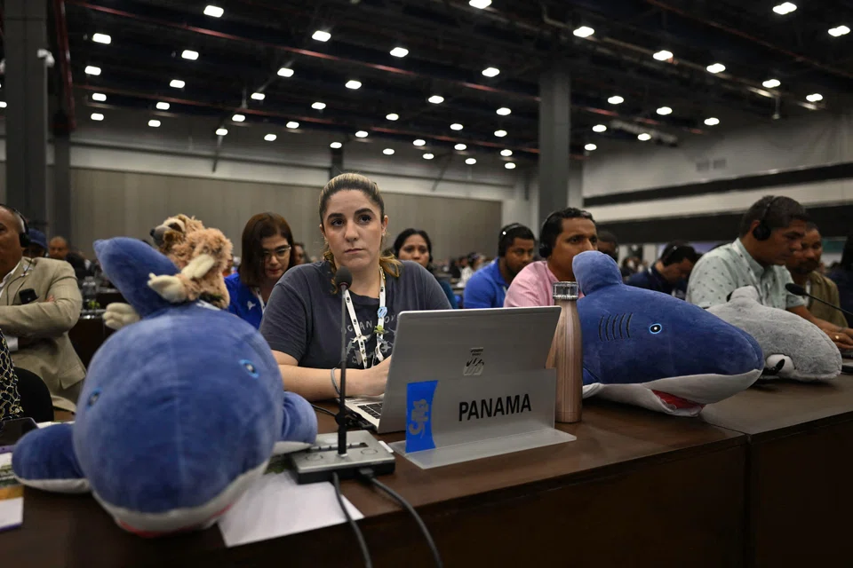 The shark initiative has been one of the most discussed at this year’s CITES summit in Panama, with the proposal co-sponsored by the European Union and 15 countries.