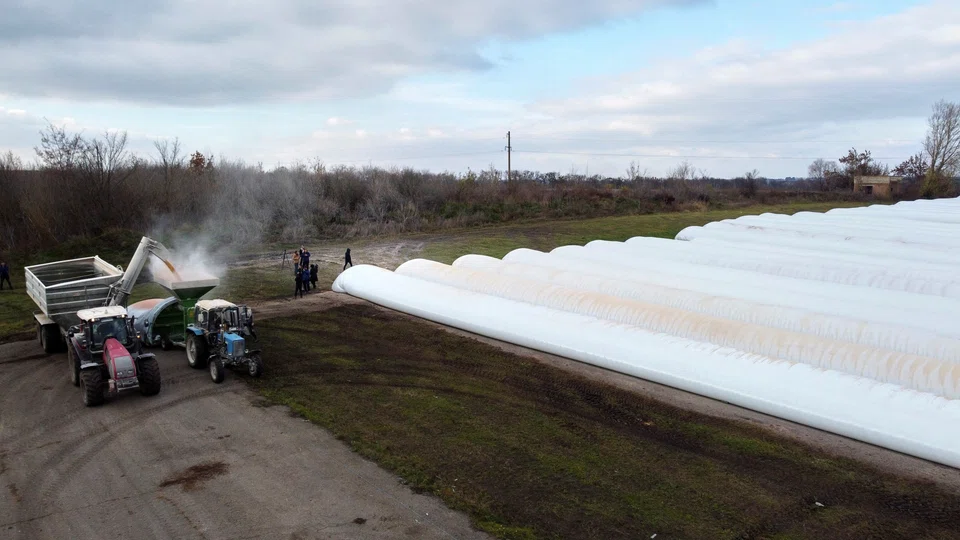 A load of corn is poured into a tractor with grain sleeves, temporary grain storage solution, in the village of Kozyn in Kyiv region, Ukraine, Nov 9, 2022.