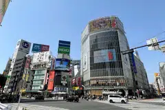 Bank of Singapore is bullish on Japan's domestic consumer discretionary segments.