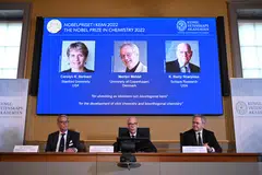 The Nobel Chemistry Prize was awarded to a trio of chemists from the US and Denmark who laid the foundation for a more functional form of chemistry.
Americans Carolyn Bertozzi and Barry Sharpless, together with Denmark's Morten Meldal, were honoured "for the development of click chemistry and bioorthogonal chemistry," the jury said. 