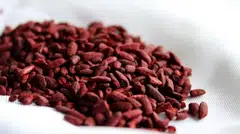 Beni-Koji contains Monascus purpureus, a red mould that is also used as a red colouring in some foods.