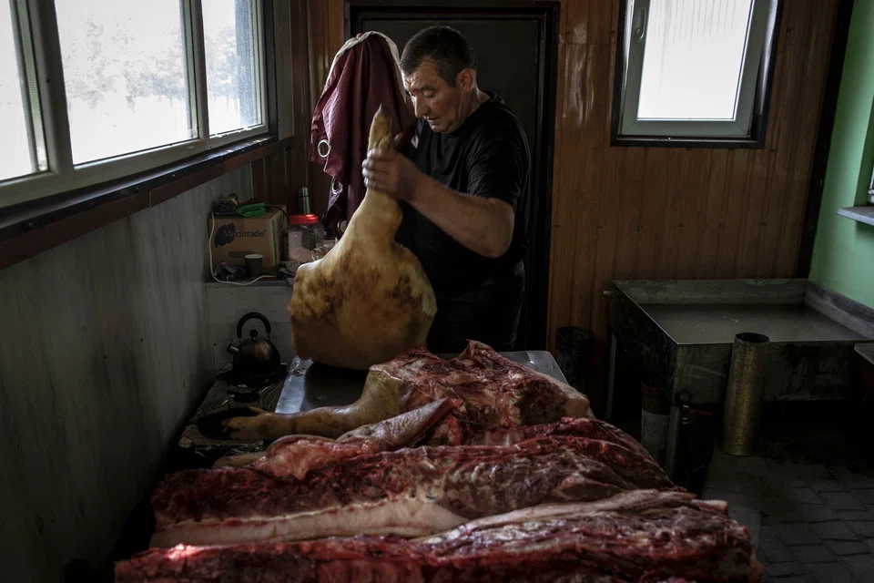 Chaplik with butchered pigs at his farm near Sievierodonetsk, Ukraine.