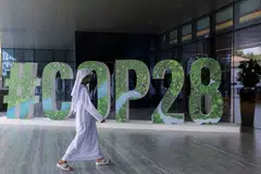 The survey of Iosco members to coincide with the COP28 UN climate summit in Dubai shows most jurisdictions do not specifically define greenwashing in legally binding provisions.
