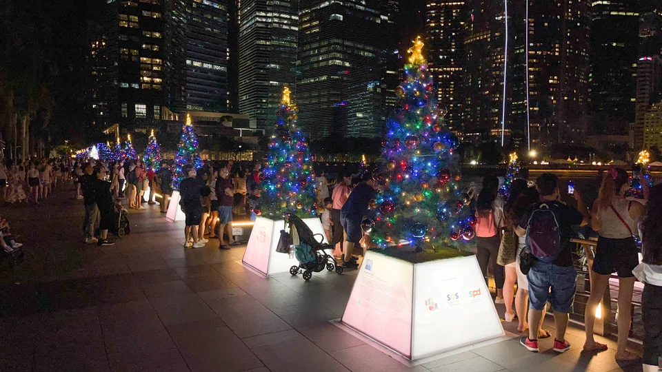 Over 50 Christmas trees light up the Marina Bay Waterfront Promenade walkways.