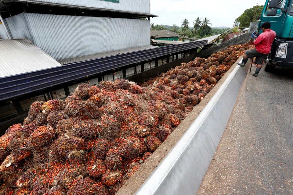 Malaysian crude palm oil futures posted their biggest one-month decline in more than 13 years in June, recording a 22 per cent drop and erasing most of this year’s gains. 