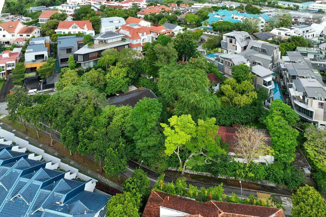 The bungalows, which have a total site area of about 32,148 square feet (sq ft) were put on the market on Feb 13 with an indicative price of S$60 million by Peter Lee and John Lee, the executors of the estate of their aunt, the late Agnes Tan. They are also the brothers of singer-songwriter Dick Lee. 