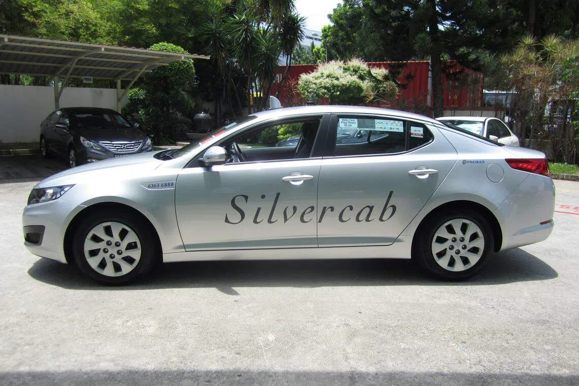 Property development firm BS Capital Group says its subsidiary Carros Project Management has successfully purchased 100% of the shares in Premier Corporation. This opens the way for it to take control of Premier Taxis.