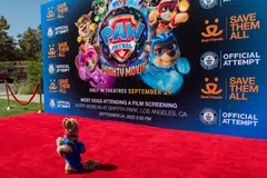 The film has the hard-working Paw Patrol pups – now endowed with superpowers – fighting again to save Adventure City.