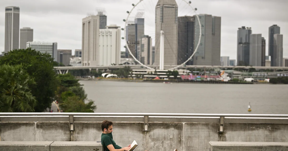 Straco posts S$16.3 million Q3 profit as revenue climbs on tourism ...