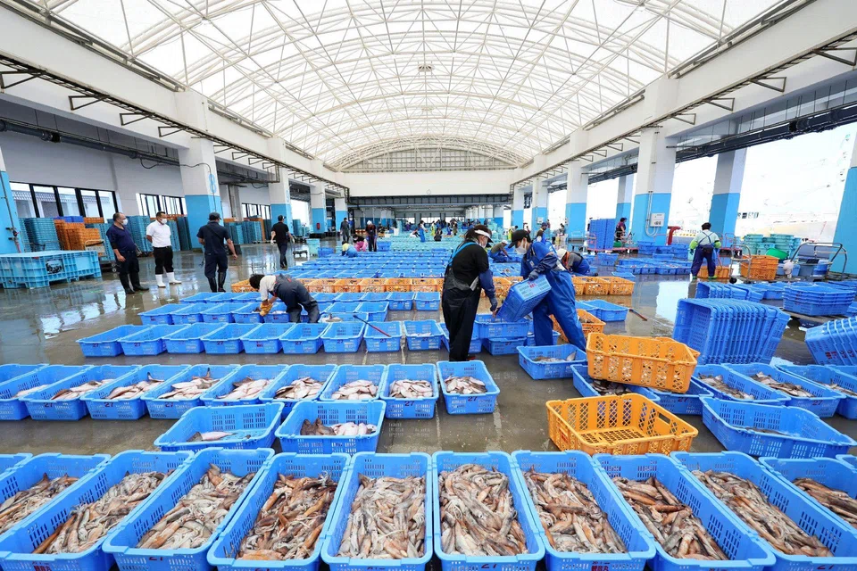 Fishery workers sorting out seafood at Matsukawaura port in Fukushima prefecture over the weekend. “The government failed to keep to its promise of gaining agreement from fishermen before taking such a decision to release (the water),” said a spokeperson for the group of more than 100 plaintiffs.