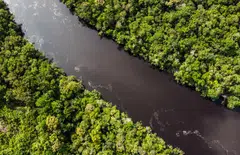 The share of overall bond sales labelled as ESG has plunged this year to its lowest level since 2020, according to data compiled by Bloomberg.