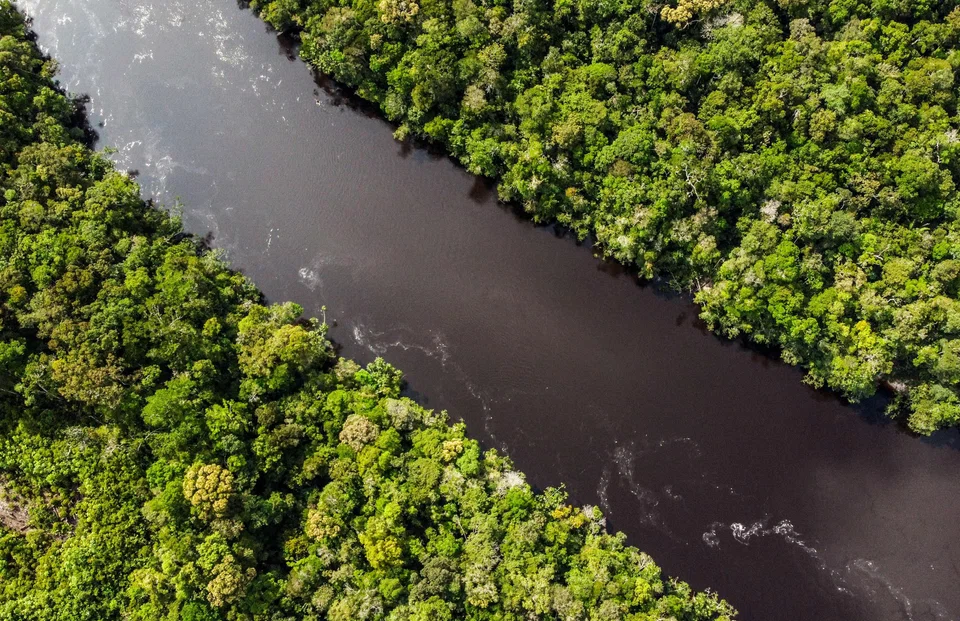 The share of overall bond sales labelled as ESG has plunged this year to its lowest level since 2020, according to data compiled by Bloomberg.