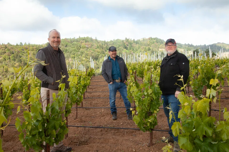 From left, Kevin Harvey, the proprietor of Aeris, Javier Tapia, the vineyard manager, and Jeff Brinkman, the winemaker, in the Centennial Mountain vineyard.