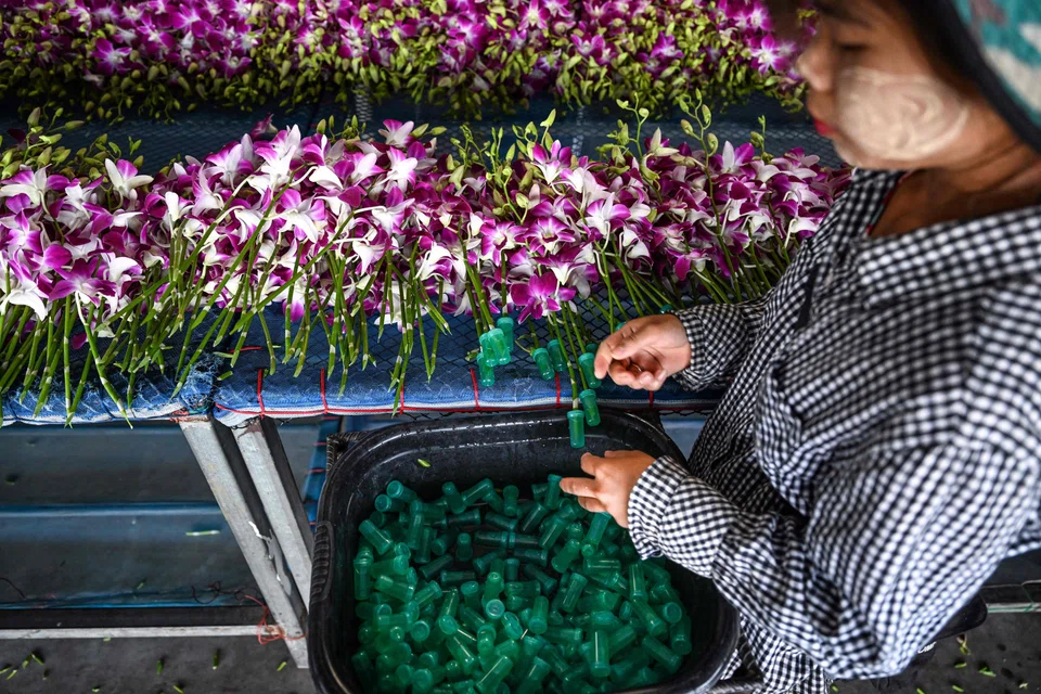 Workers placing vials containing vitamins and nutrients on orchid stems to preserve their fresh appearance for up to two weeks .
