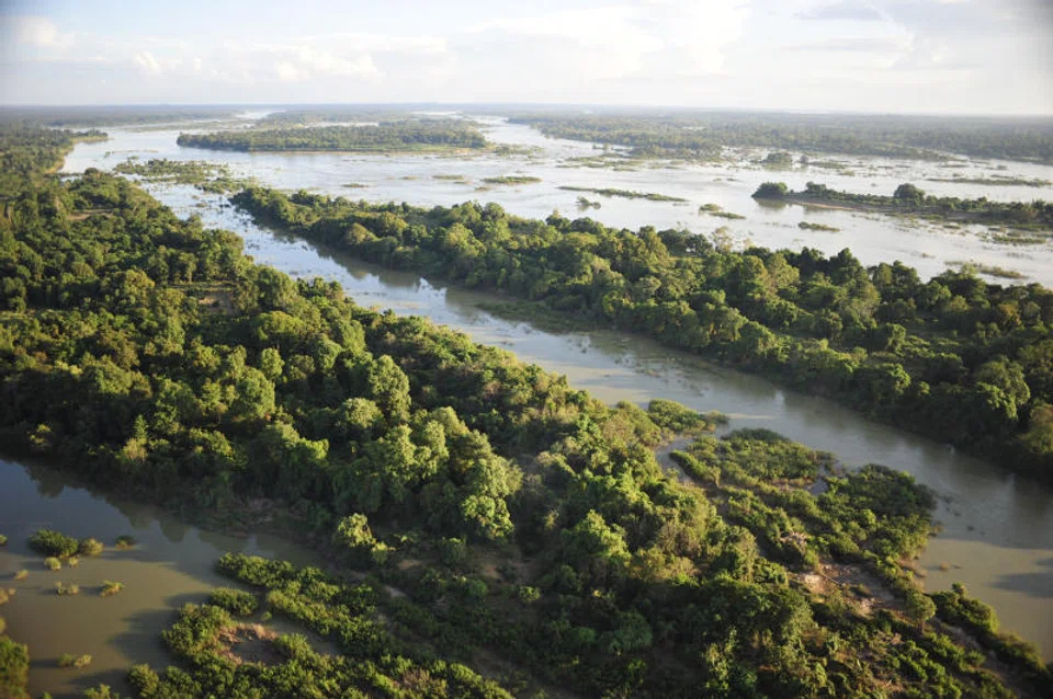 The new pricing intelligence will cater to growing demands from market participants for more transparent and market-representative benchmarks of carbon credits, Climate Impact X said.