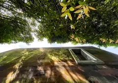 Companies should ensure they have a robust and effective governance structure and compliance system, as well as clear guidelines when making statements open for public scrutiny.