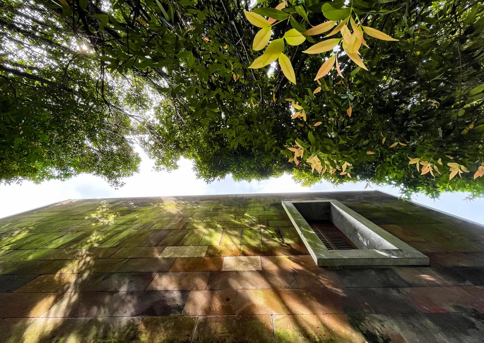 Companies should ensure they have a robust and effective governance structure and compliance system, as well as clear guidelines when making statements open for public scrutiny.