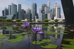 The banking disruptions have so far been restricted to traditional banks. And experts believe digital banks should be more resilient to outages due to fundamental differences in the way their systems are set up.