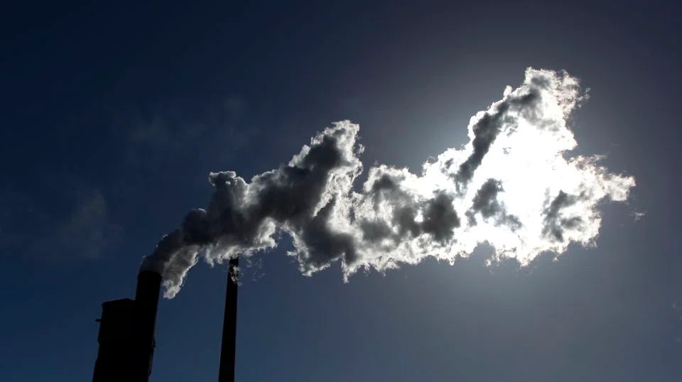 Scientists estimate that the world may need to remove billions of tons of CO2 from the atmosphere annually by mid-century to limit global warming.