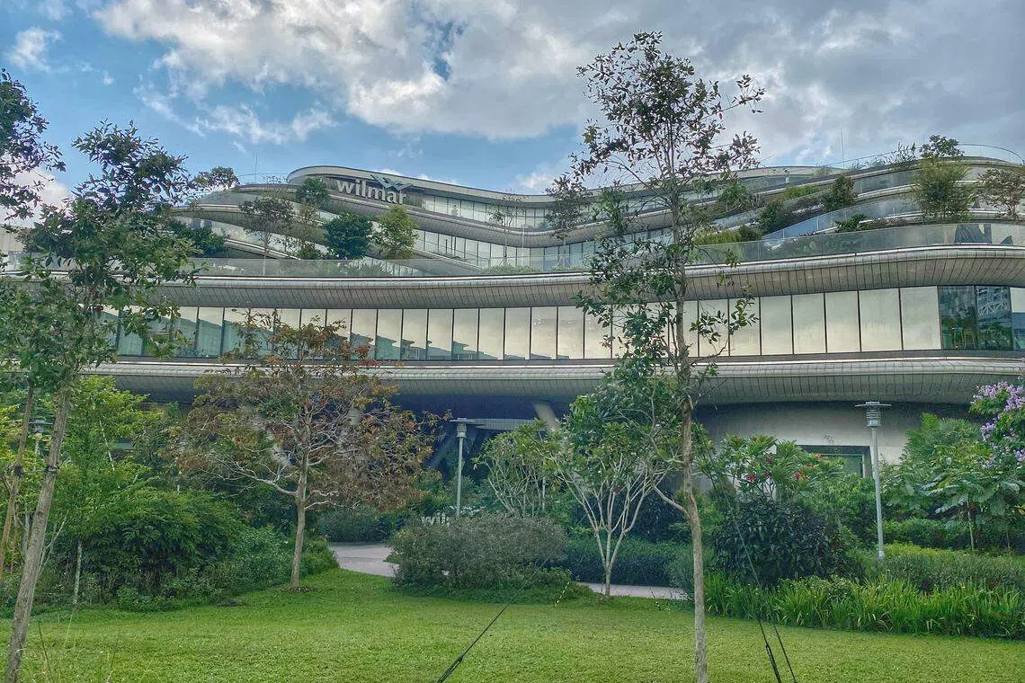 Wilmar International's chairman and chief executive, Kuok Khoon Hong, expects tough operating conditions to continue into FY2024.