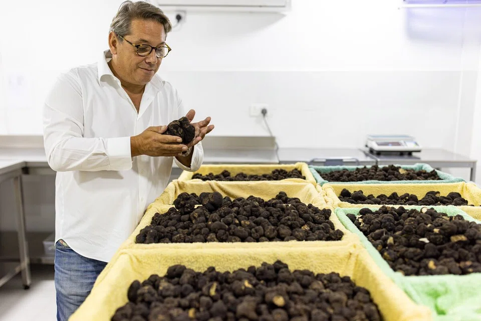 Massimo Vidoni, a 54-year-old Italian native, has become known in Dubai as the “Truffleman,” a name he says a chef coined years ago.