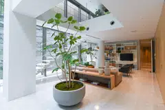 Many of those wealthy Asian buyers are paying in cash or obtaining low-interest loans from foreign banks with local branches. 