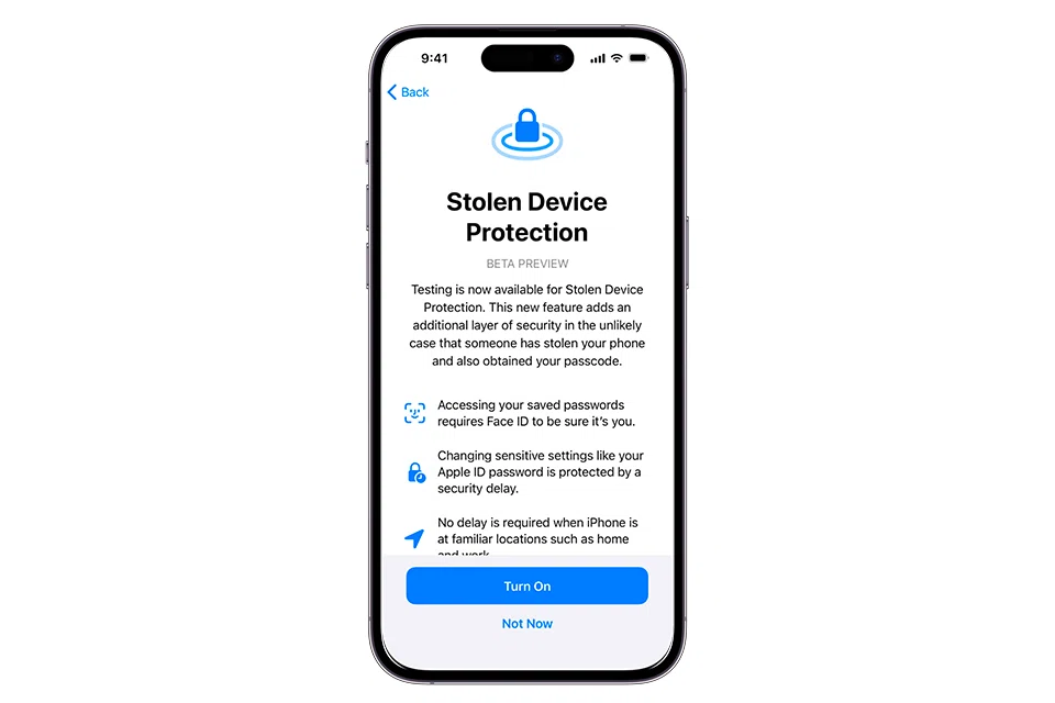 The enhancement will require Face ID or Touch ID when accessing stored passwords, changing Apple ID settings, looking at payment information and disabling Find My iPhone.