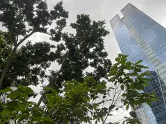 Other investors in the fund include IMC Group, the Tsao Family Office, the Ishk Tolaram Foundation, the ANF Family Office and Pang Sze Khai, the chairman of Octava. 