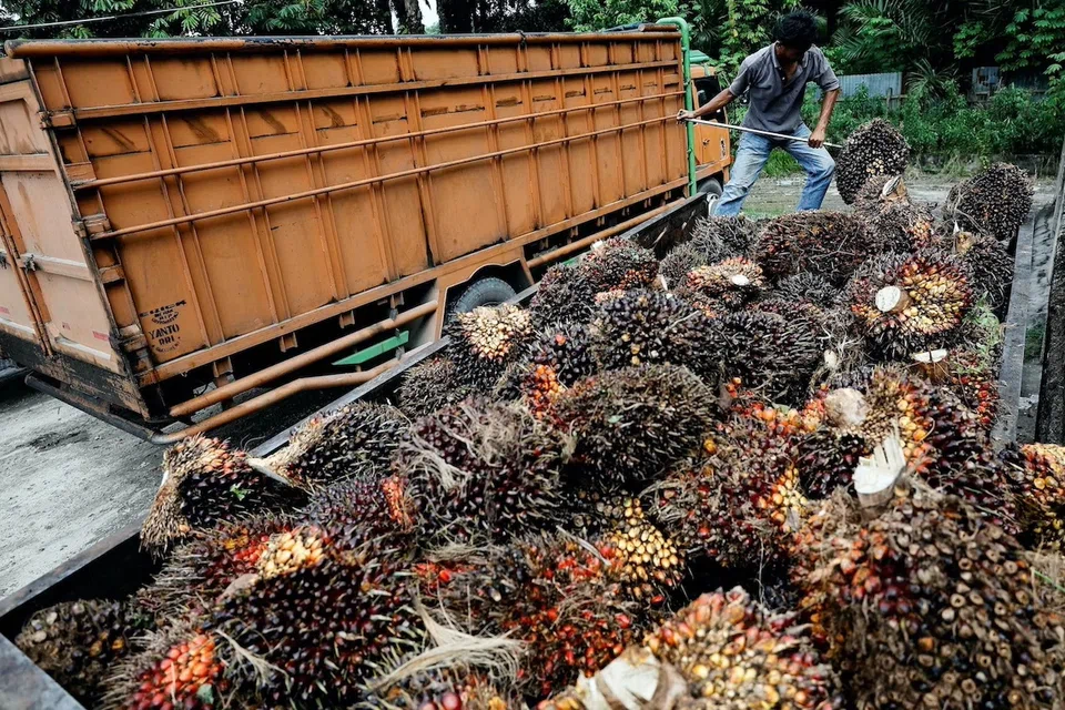 Indonesia has launched an export acceleration scheme aimed at shipping at least 1 million tonnes of crude palm oil and derivatives following a recent export ban, according to a trade ministry regulation made public on Thursday. 