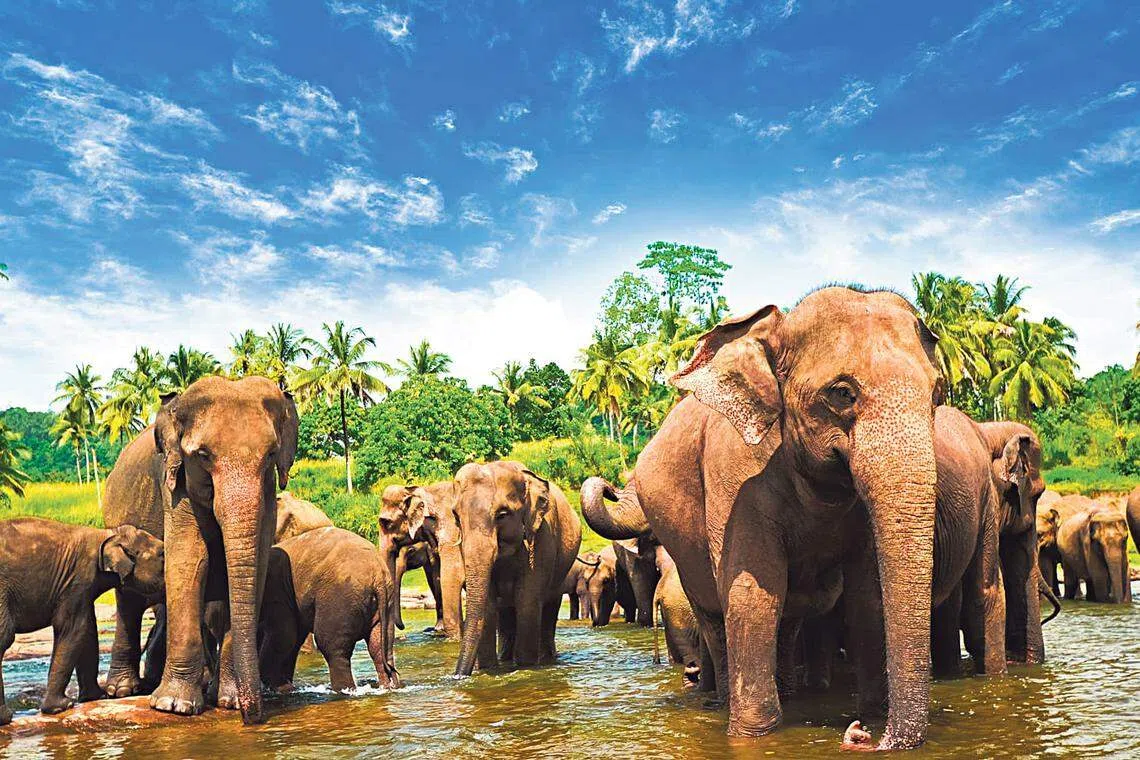 How much digitalisation must the F&B industry go through to be 'future-ready'?