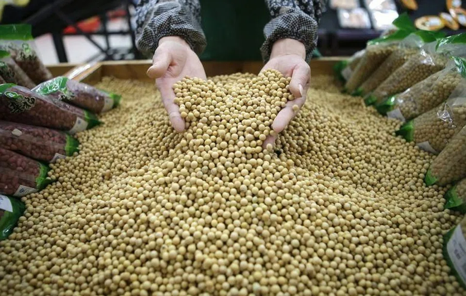 It will “guide China Grain Reserves Group to set up new plans to buy domestically produced soybeans in key producing regions Heilongjiang province and Inner Mongolia,” the Ministry of Agriculture and Rural Affairs said.