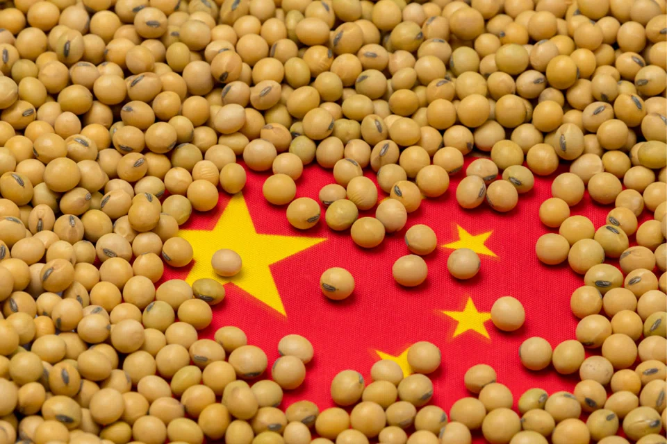 CHINA will sell another 314,000 tonnes of imported soybeans from its state reserves on May 13, the National Grain Trade Center said on Friday (May 6).