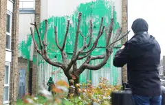 When viewed from certain angles, the green paint lines up with the tree’s bare branches to represent its leaves.