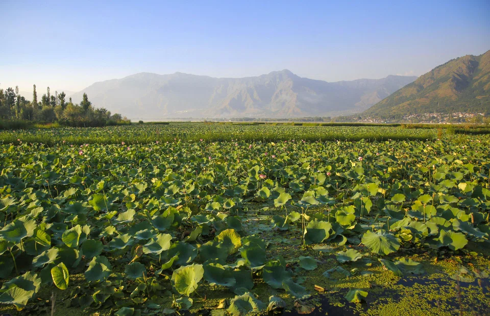 India imports about 30 per cent of around 35 million tonnes needed each year for its vast agriculture sector, and China was its second-largest supplier last year.