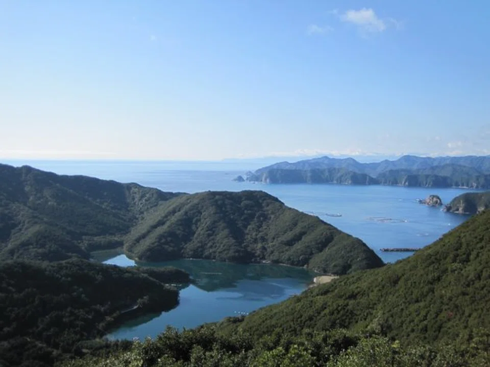Cypress forests come right up to the water's edge in Ise Shima's sheltered inlets; their falling leaves enriching the seas.