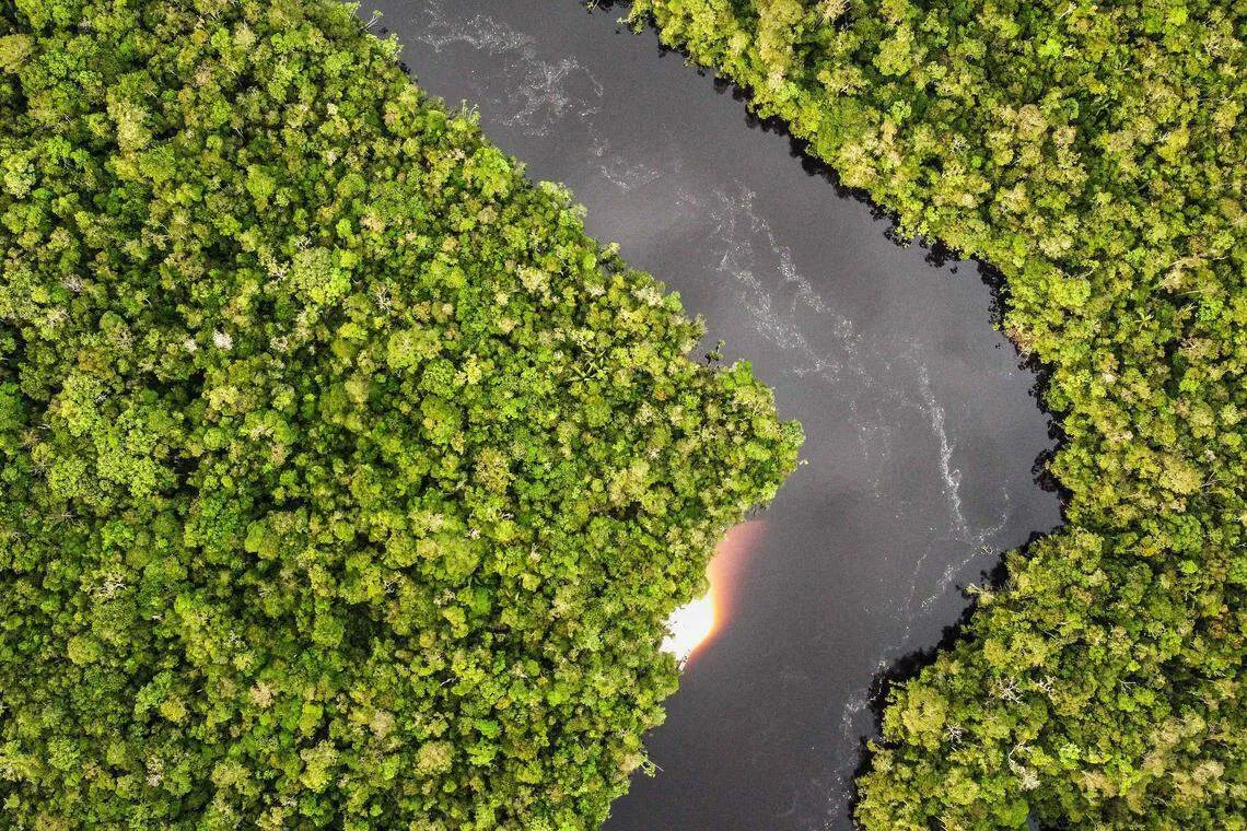 The goal is to monetise biodiversity through financial innovation, while navigating new regulations designed to protect the natural environment.