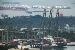 South-east Asian governments must help their small and medium-sized enterprises to meet the accounting profession's new sustainability reporting standards.