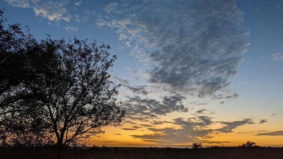 Lopes’ dual career spanned the formative years of African nationhood and the continent’s literature.