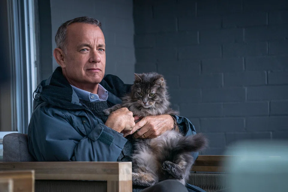 Tom Hanks warns fans about an unauthorised digital version of him generated by artificial intelligence. 