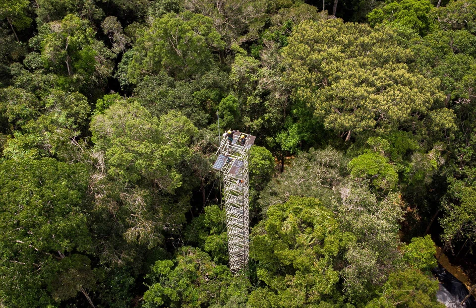 An open-air structure that will help to discover in advance what the future of the biome will be like due to climate change, in Manos, Brazil, 23 May 2023. 