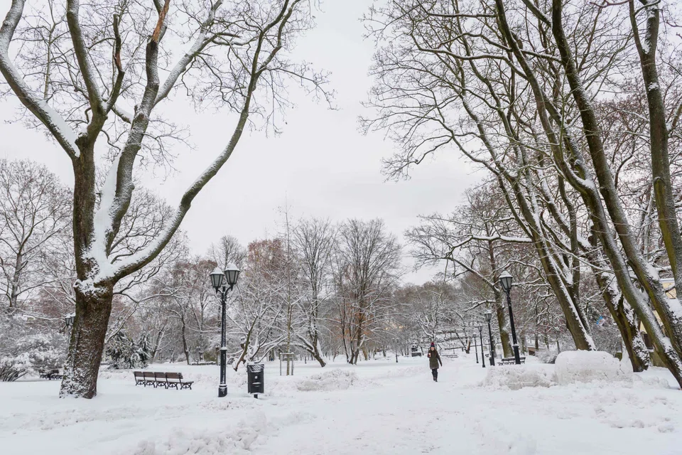 The cold snap is expected to last for the next seven days across north-west Europe.