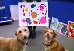 Former rescue dogs Alba and Rosie pose with a painting they helped to create at the Bristol Animal Rescue Centre.