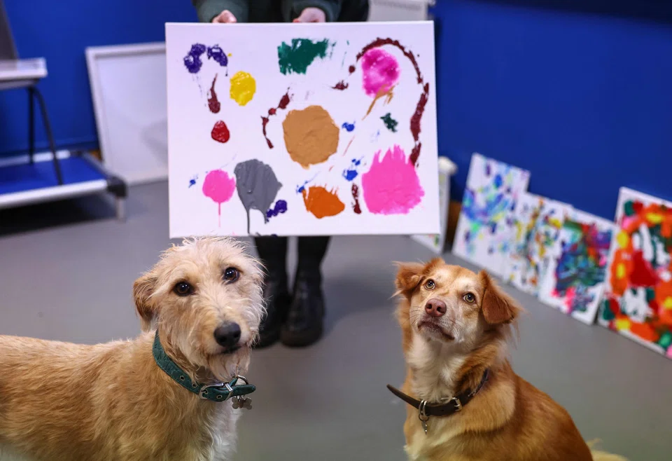 Former rescue dogs Alba and Rosie pose with a painting they helped to create at the Bristol Animal Rescue Centre.