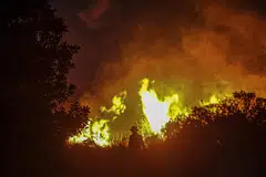 Almost 3,000 hotspots were detected in Indonesia in mid-September, with Sumatra and the Indonesian part of Borneo island, called Kalimantan, accounting for more than two thirds, according to the National Disaster Mitigation Agency. 