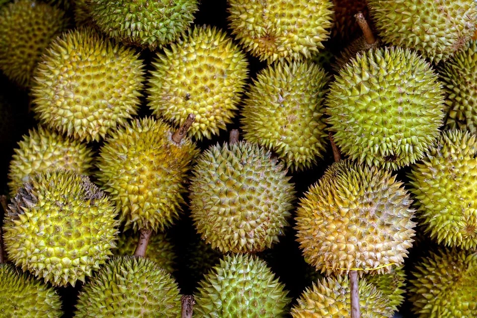 Durian distributor Nutryfarm International has been placed under judicial management as of Jun 28, and Wu Yongqiang's services as chairman would no longer be required.