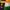 DHL, UPS, FEDEX logos and Indian flag are seen in this illustration taken, January 4, 2024. REUTERS/Dado Ruvic/Illustration
