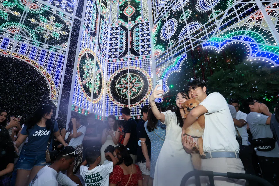 Indonesia is Singapore's top source of visitors in November, followed by China, Malaysia, India and Australia.