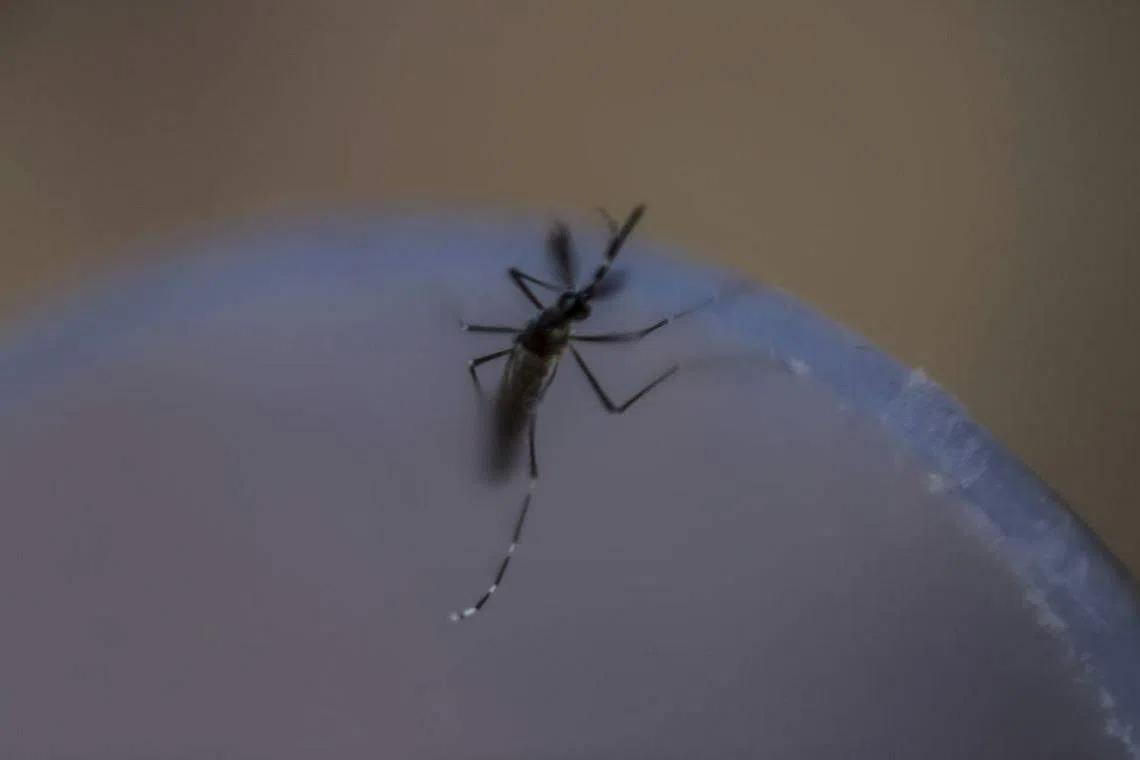 Zika vaccine shows promise in early human trial