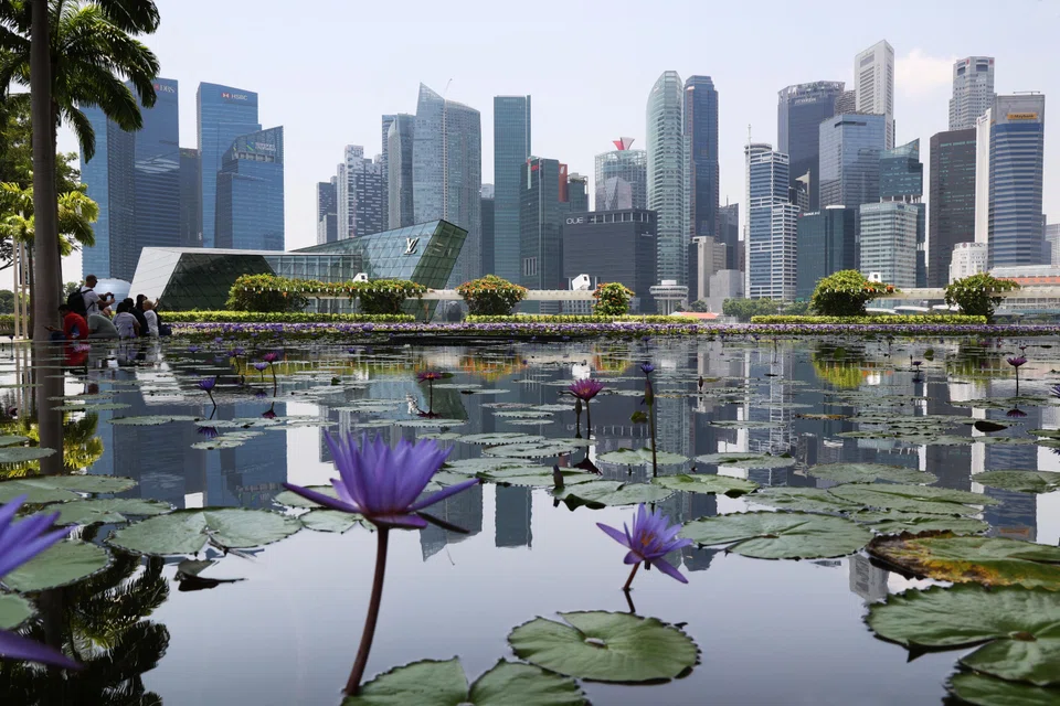 Business confidence is restoring amid a rebound in the construction, tourism and manufacturing sectors.